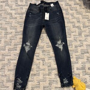 Judy Blue Midnight Distressed Skinny Jeans